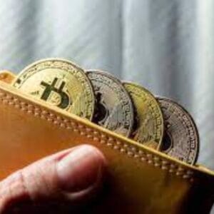 FintechZoom.com Bitcoin Wallet