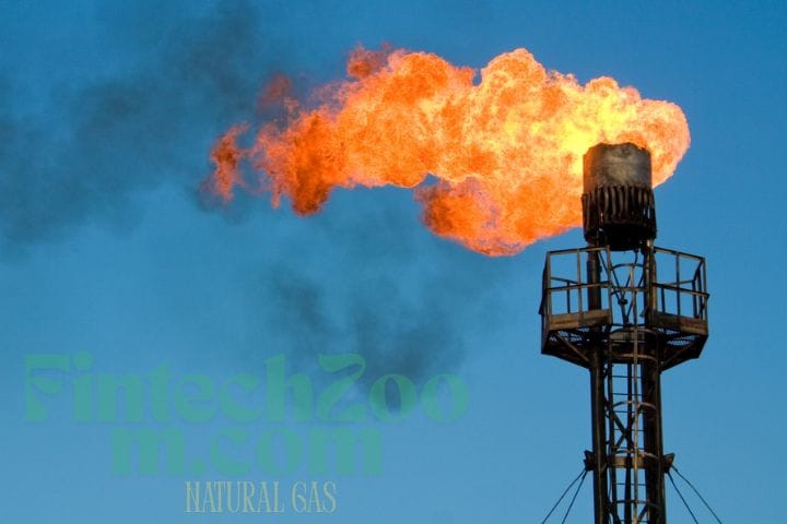 FintechZoom.com Natural Gas