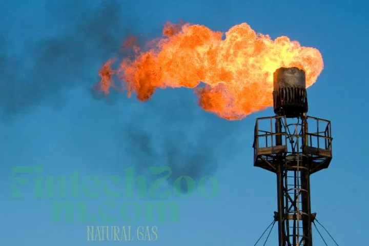 FintechZoom.com Natural Gas